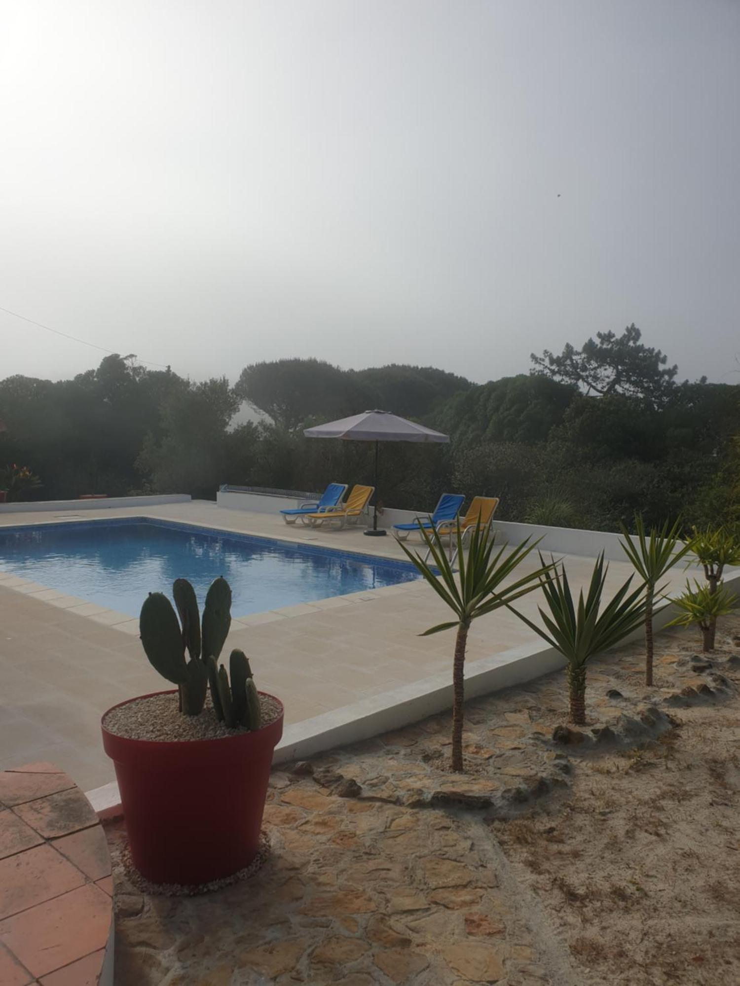 Апартаменты Sondela Self Catering Сан-Мартинью-ду-Порту Экстерьер фото