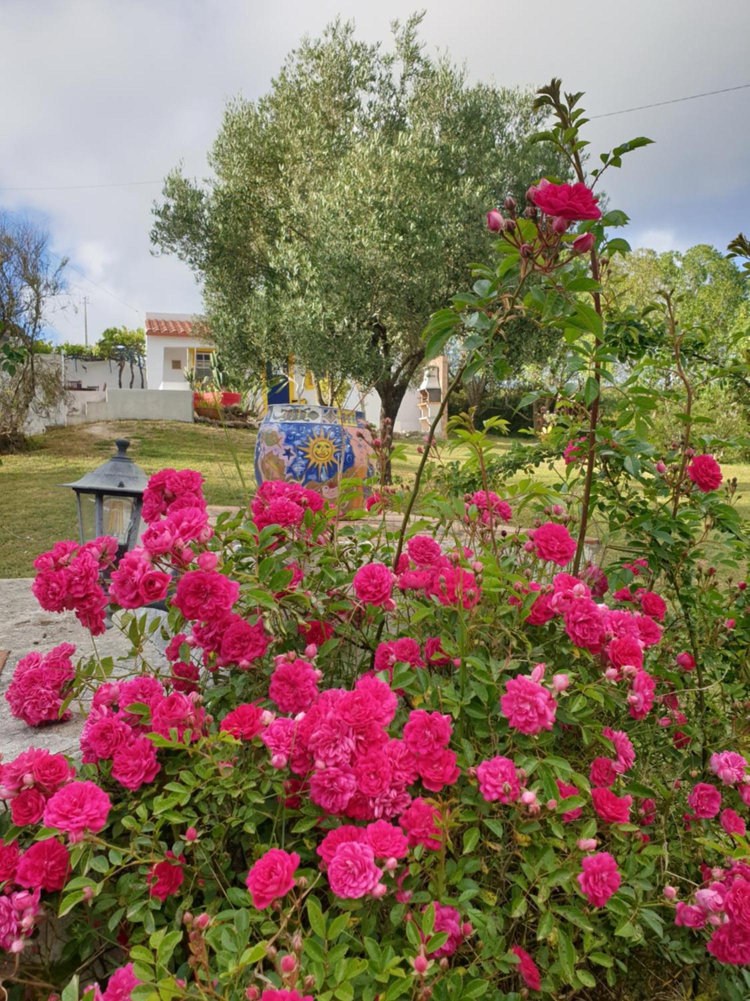 Апартаменты Sondela Self Catering Сан-Мартинью-ду-Порту Экстерьер фото